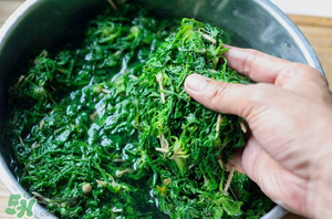 薺菜怎么腌制？薺菜的腌制方法