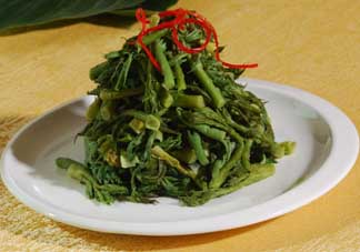 蕨菜什么人不能吃？哪些人不能吃蕨菜？