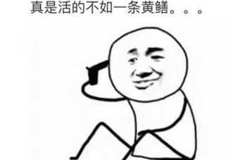 黃鱔有什么錯(cuò)？黃鱔做錯(cuò)了什么？