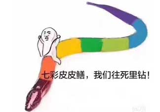 七彩皮皮鱔我們往死里鉆是什么意思？七彩皮皮鱔我們?nèi)€(gè)好地方是什么意思？