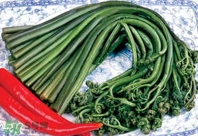 蕨菜有毒嗎？吃蕨菜會中毒嗎？