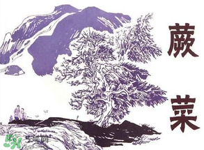 吃蕨菜會過敏嗎？皮膚過敏能吃蕨菜嗎？