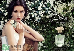 dolce gabanna香水哪款好聞？DG杜嘉班納香水推薦