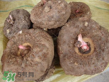 魔芋什么味道？怎么去除魔芋味道？