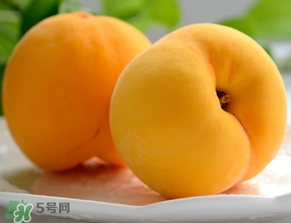 黃桃為什么那么貴？黃桃為什么這么貴？