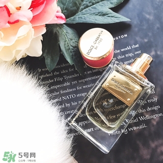 dolce gabanna香水哪款好聞？DG杜嘉班納香水推薦