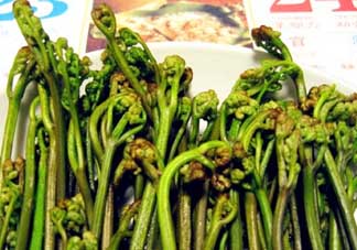 蕨菜有毒嗎？吃蕨菜會(huì)中毒嗎？