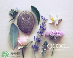 2017固體香膏哪個牌子好？2017固定香膏排行榜