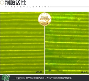cpb保濕露多少錢？cpb保濕露專柜價(jià)格
