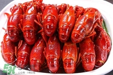 吃小龍蝦可以喝紅酒嗎？紅酒和龍蝦能一起吃嗎？