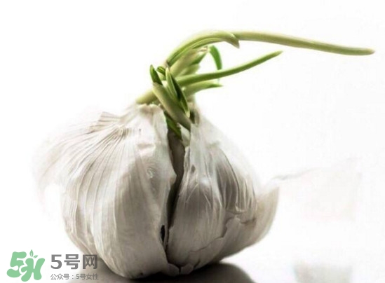 發(fā)芽的大蒜能吃嗎？發(fā)芽的大蒜能不能吃