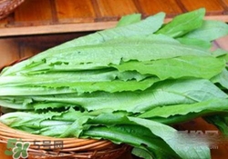 油麥菜糖尿病能吃嗎？糖尿病能吃油麥菜嗎？
