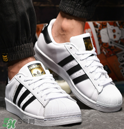 adidas貝殼頭正品多少錢？阿迪達斯貝殼頭鞋專柜價格