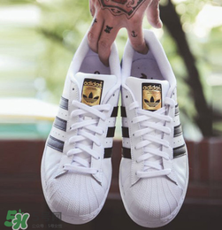 adidas貝殼頭正品多少錢？阿迪達斯貝殼頭鞋專柜價格