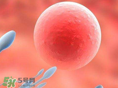 捐20顆卵子會(huì)怎么樣？捐20顆卵子有什么后果？