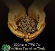 twg茶哪個(gè)最經(jīng)典？twg茶葉哪個(gè)好喝？