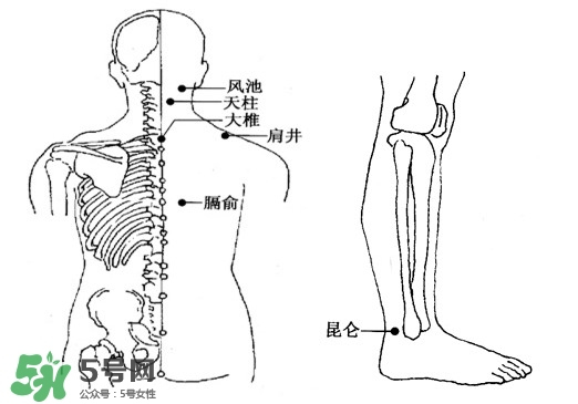刮痧能治頸椎病嗎？頸椎病刮痧正確圖片