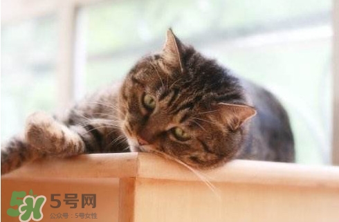 為什么身體總是覺得累？總是覺得累是怎么回事