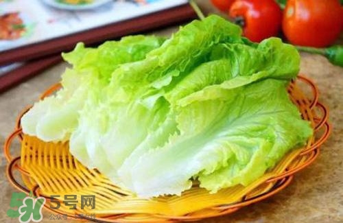 生菜可以放冰箱嗎？生菜可以放冰箱多久？