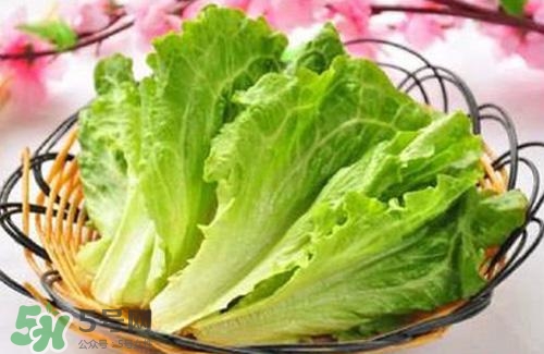 生菜可以放冰箱嗎？生菜可以放冰箱多久？