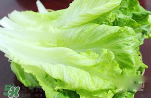 生菜可以放冰箱嗎？生菜可以放冰箱多久？
