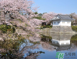 5月份去日本穿什么？五月份去日本穿什么衣服？