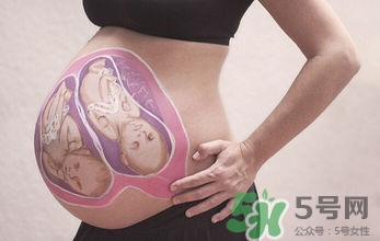 妊娠線看可以看胎兒性別嗎？妊娠線看可以男女嗎？