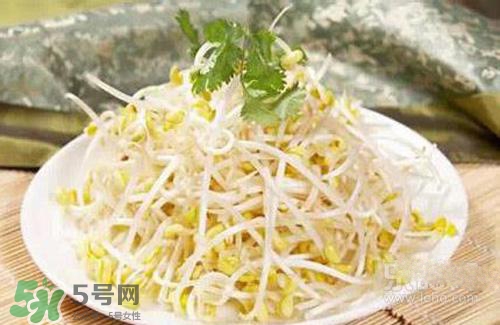黃豆芽熱量高嗎？吃黃豆芽會(huì)長胖嗎？