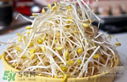黃豆芽熱量高嗎？吃黃豆芽會(huì)長胖嗎？