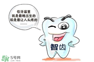 長智齒好嗎？長智齒好不好