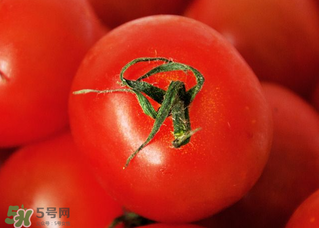 五月份吃什么蔬菜？5月份吃什么蔬菜？