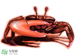 五月份可以吃螃蟹嗎？5月份可以吃螃蟹嗎？