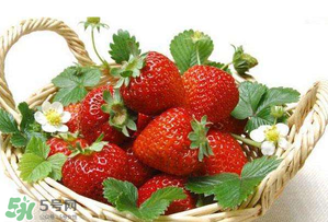 五月份還有草莓嗎？5月份還有草莓嗎？