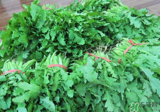 罌粟苗能當(dāng)菜吃嗎？罌粟苗可以當(dāng)菜吃嗎？