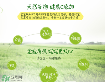 禧貝米粉二段味道怎么樣？禧貝米粉二段味道如何？