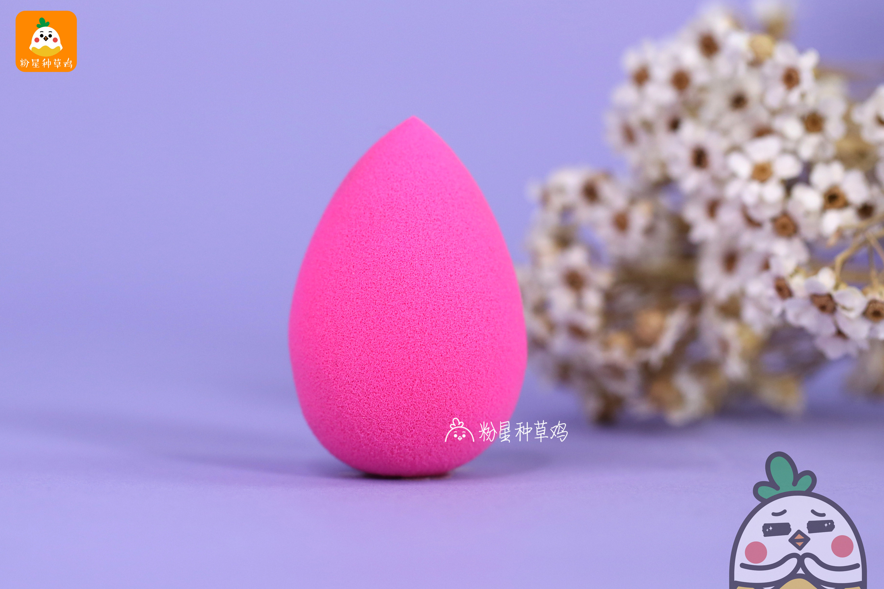 beauty blender美妝蛋和rt美妝蛋哪個(gè)好？
