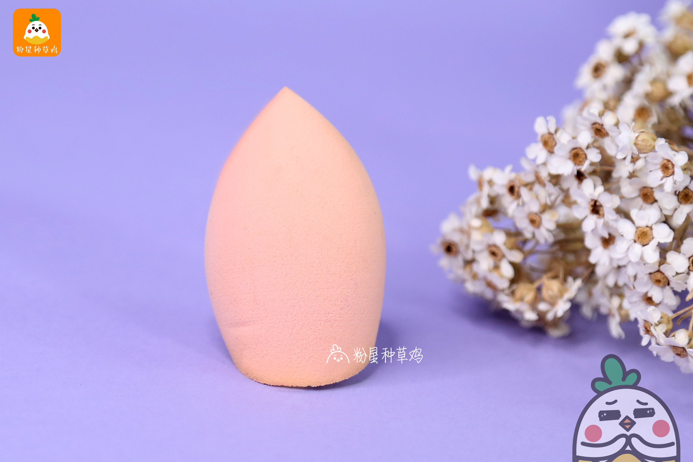 beauty blender美妝蛋和rt美妝蛋哪個(gè)好？