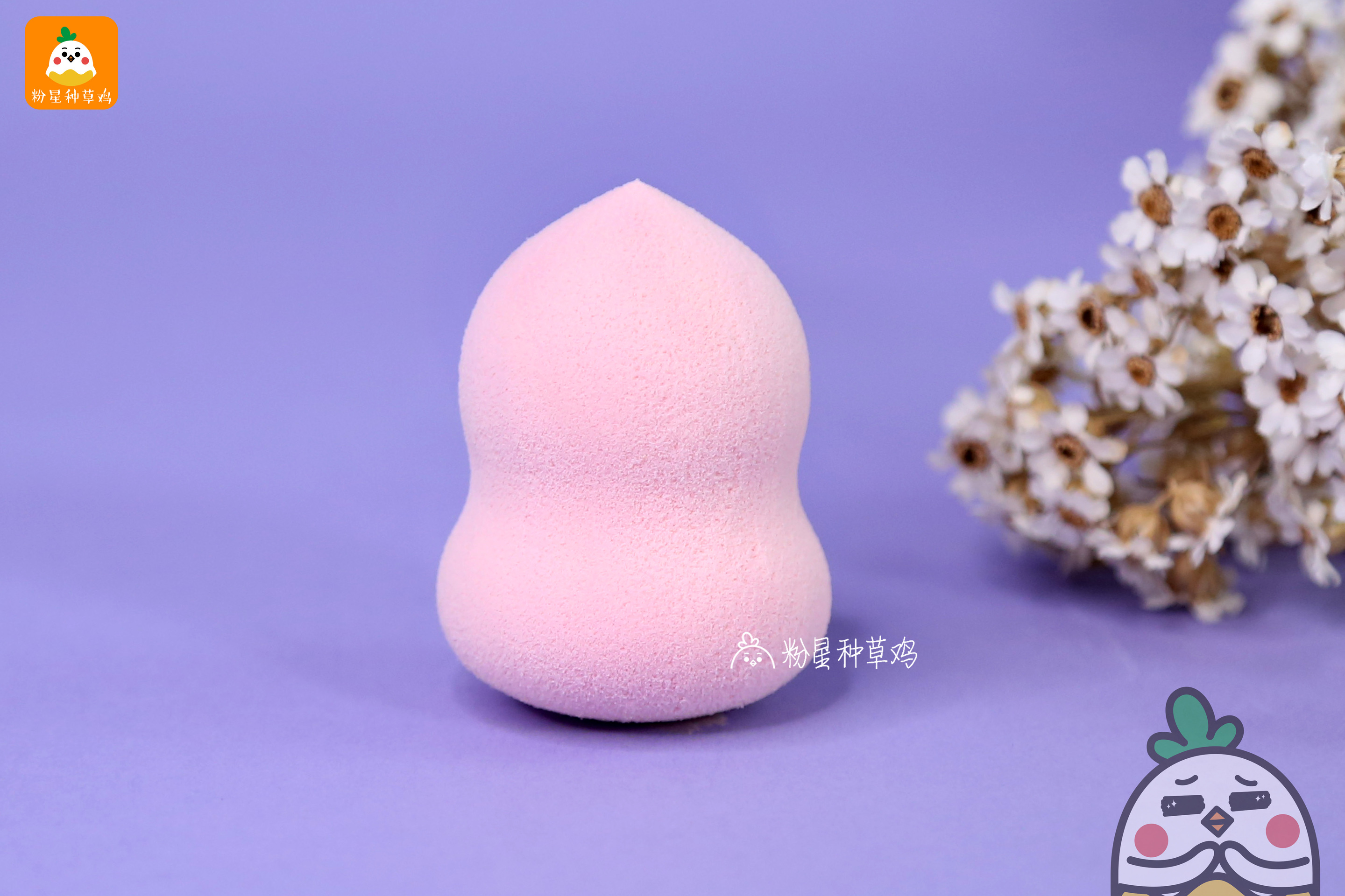 beauty blender美妝蛋和rt美妝蛋哪個(gè)好？