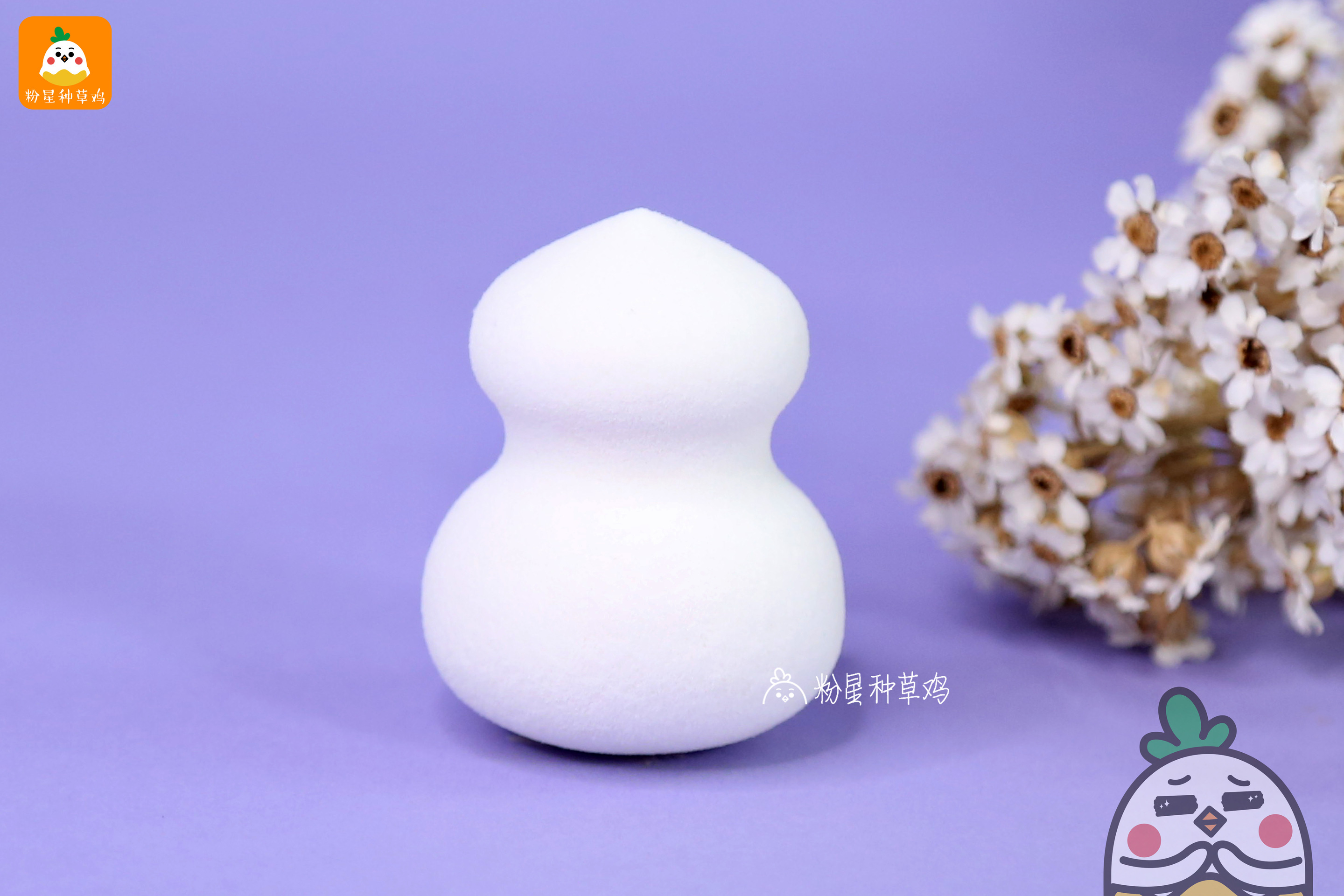 beauty blender美妝蛋和rt美妝蛋哪個(gè)好？