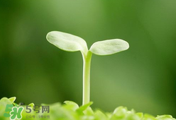 甲醛檢測儀哪個牌子好？哪個牌子的甲醛檢測儀好？