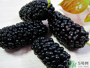 吃桑葚會(huì)拉黑便嗎？吃桑葚大便黑色怎么回事？