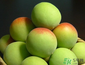 青梅什么時(shí)候成熟？青梅幾月份成熟？