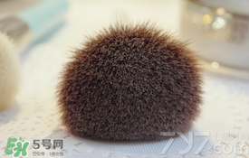 受受狼是哪個國家的？受受狼化妝刷推薦