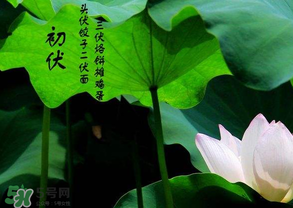 2017年頭伏是哪一天？2017年什么時候入伏？