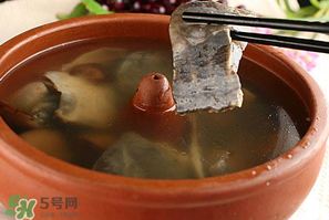 懷孕初期能吃甲魚嗎？懷孕初期可以吃甲魚嗎？