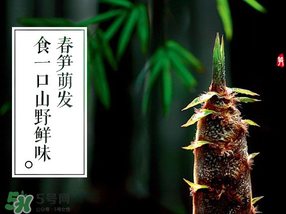 春筍多少錢一斤？春筍多少錢一斤2017？