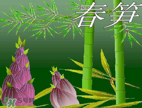 春筍多少錢一斤？春筍多少錢一斤2017？