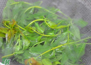 香椿為什么要焯水？香椿怎么焯水？