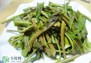 香椿為什么要焯水？香椿怎么焯水？