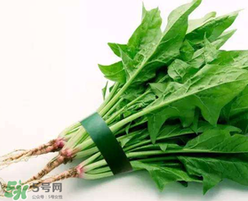 孕婦可以吃菠菜嗎？孕婦菠菜吃多了會怎樣？